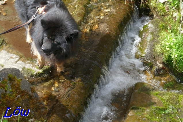 30.3.2024 - Howard am Wasserfall